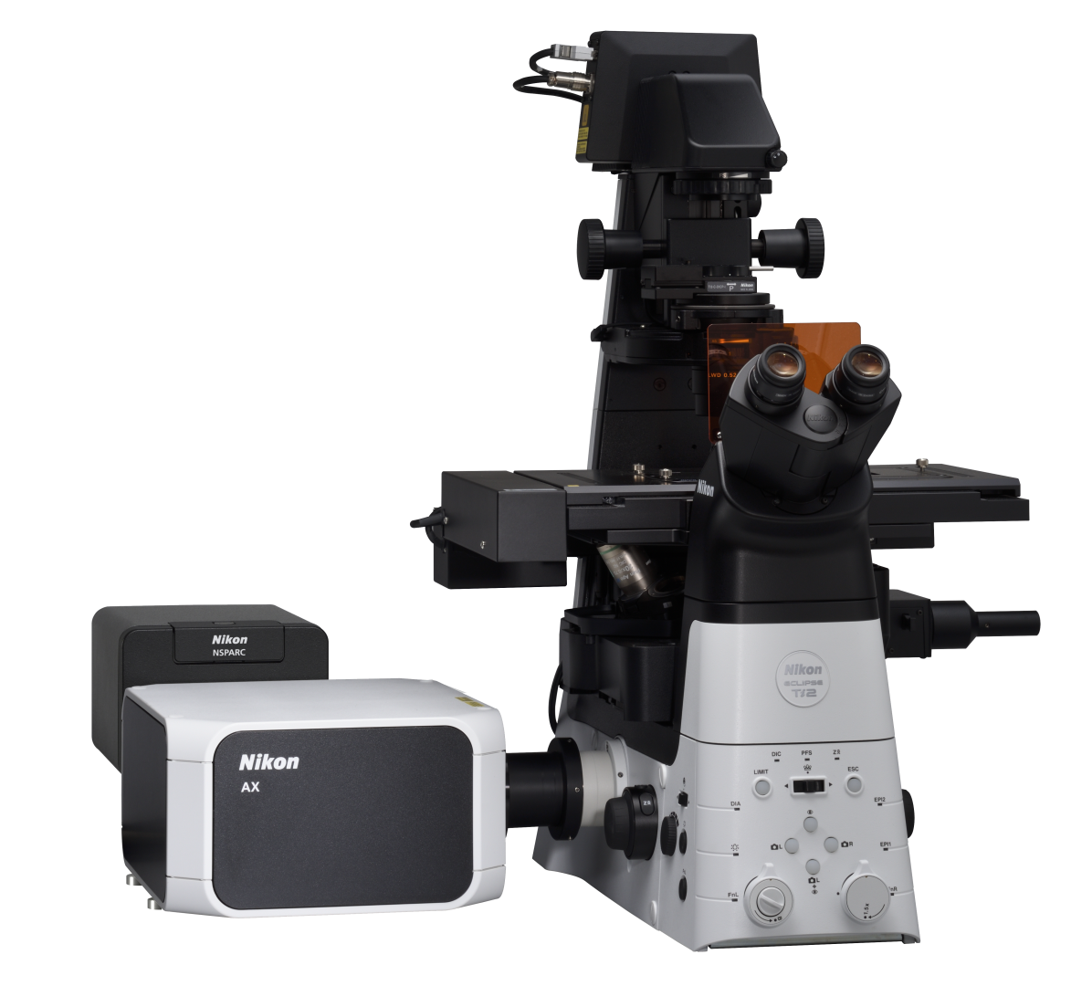 Kính hiển vi Confocal và Multiphoton