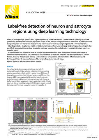 2212E Label freeDetectionNeuronAstrocyteRegions DeepLearningTechnology b043d2b295ef57929ca14a8b6cb20560