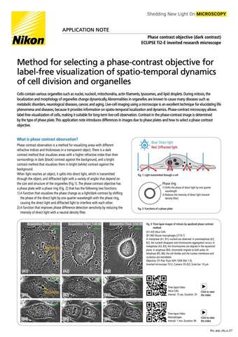 Phương pháp chọn vật kính tương phản pha để quan sát động học không nhuộm quá trình phân chia tế bào và bào quan