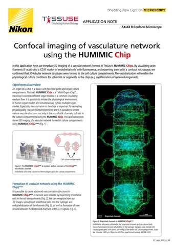 Chụp ảnh confocal mạng mạch máu bằng chip HUMIMIC