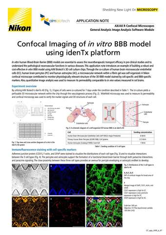 Chụp ảnh confocal mô hàng rào máu não nuôi cấy in vitro bằng nền tảng idenTx