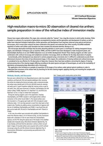 Quan sát 3D macro đến micro bao phấn lúa đã làm trong, chuẩn bị mẫu theo chỉ số khúc xạ môi trường ngâm
