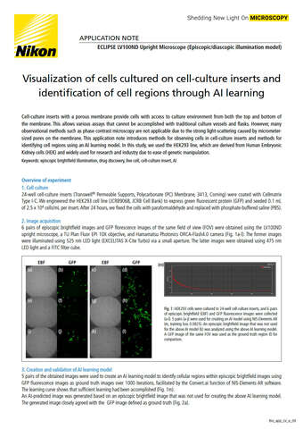 Quan sát tế bào nuôi trên màng chèn và nhận diện vùng tế bào bằng học AI