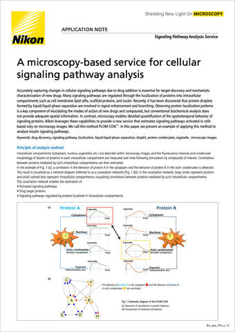 Dịch vụ phân tích đường dẫn tín hiệu tế bào dựa trên hiển vi