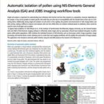 Automatic isolation of pollen using NIS-Elements General Analysis (GA) and JOBS imaging workflow tools