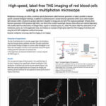 High-speed, label-free THG imaging of red blood cells using a multiphoton microscope