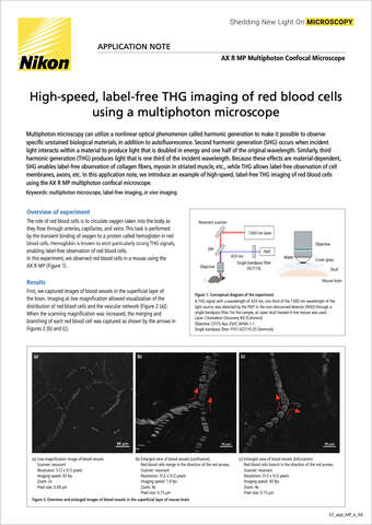 Chụp ảnh THG tốc độ cao, không nhuộm của hồng cầu bằng kính hiển vi đa photon