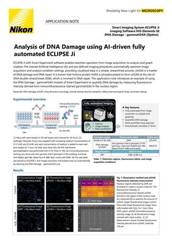 Phân tích tổn thương DNA bằng ECLIPSE Ji AI tự động