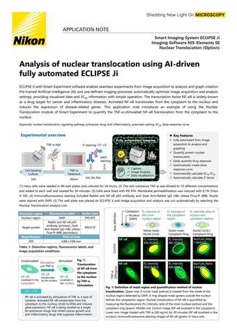 Phân tích di chuyển nhân bằng ECLIPSE Ji tự động AI