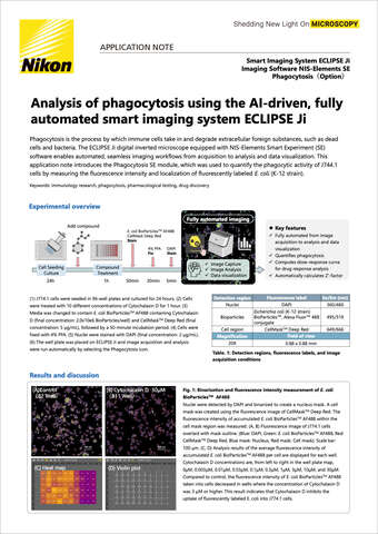 Phân tích quá trình thực bào bằng hệ thống AI tự động ECLIPSE Ji