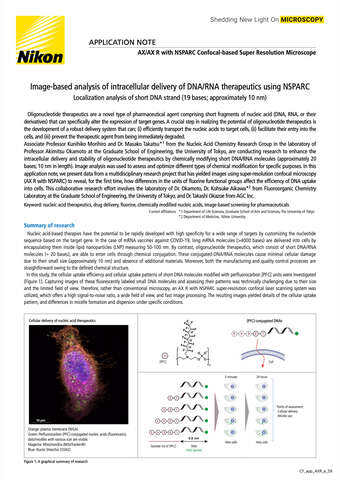Phân tích dựa trên ảnh quá trình đưa DNA/RNA vào bên trong tế bào bằng NSPARC