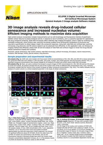 2404E 3D analysis reveals cellular senescence and increased nucleolus volume b043d2b295ef57929ca14a8b6cb20560 1