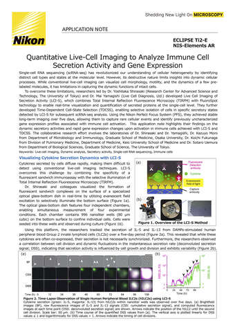 Chụp ảnh sống định lượng để phân tích hoạt động tiết và biểu hiện gen của tế bào miễn dịch