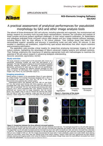 Đánh giá thực tiễn hiệu suất phân tích hình thái giả đảo tụy bằng GA3 và các công cụ phân tích ảnh khác