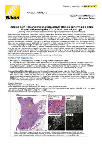 Chụp ảnh đồng thời nhuộm H&E và huỳnh quang miễn dịch trên một lát mô bằng kính hiển vi laser confocal AX