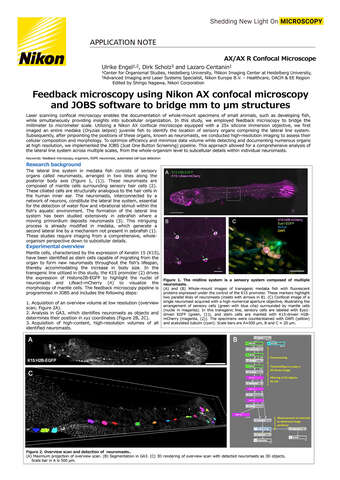 Hiển vi phản hồi bằng AX confocal và phần mềm JOBS nối cấu trúc mm và µm