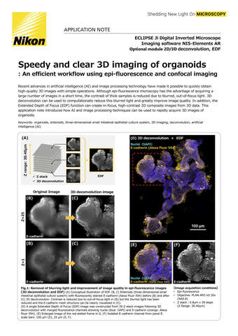 Chụp ảnh 3D nhanh và rõ nét của cơ quan mô phỏng (organoids)