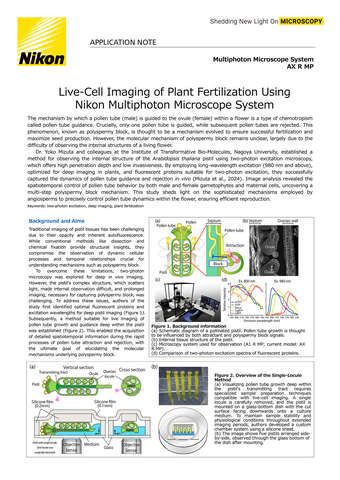 Chụp ảnh tế bào sống quá trình thụ tinh thực vật bằng kính đa photon Nikon