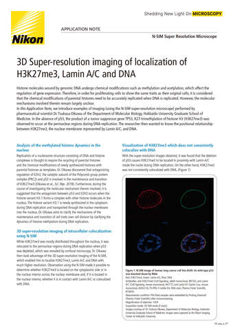 3D Super resolution imaging of localization of H3K27me3 Lamin AC and DNA b043d2b295ef57929ca14a8b6cb20560