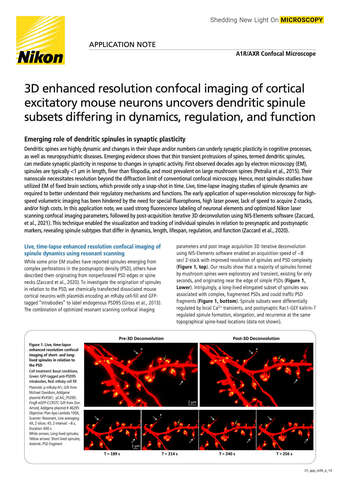 3D enhanced resolution confocal imaging of mouse neurons COVER b043d2b295ef57929ca14a8b6cb20560