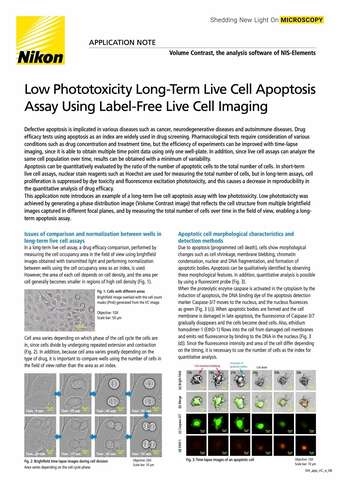 Apoptosis Assay Using Volume Contrast 2109E COVER b043d2b295ef57929ca14a8b6cb20560