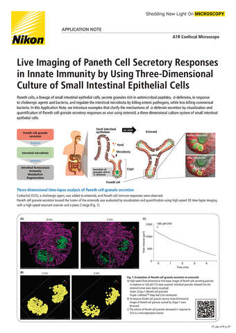 CF app A1R Live Imaging of Paneth Cell Secretory Responses b043d2b295ef57929ca14a8b6cb20560