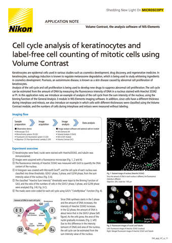 Cell cycle analysis of keratinocytes using Volume Contrast 2120E COVER b043d2b295ef57929ca14a8b6cb20560
