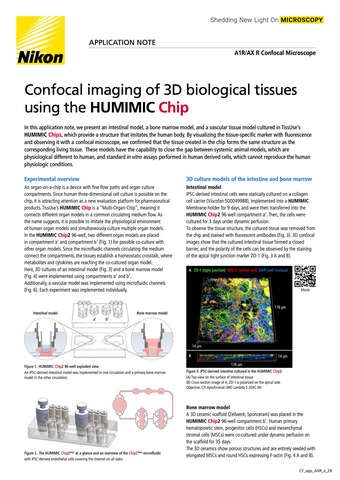 ConfocalImaging 3D BiologicalTissues using HUMIMIC Chip 2209E b043d2b295ef57929ca14a8b6cb20560