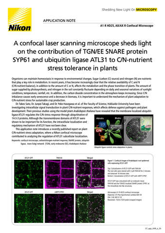 ConfocalMicroscope shedsLightContributionTGNEESNAREproteinSYP61 UbiquitinLigaseATL31 2206E b043d2b295ef57929ca14a8b6cb20560