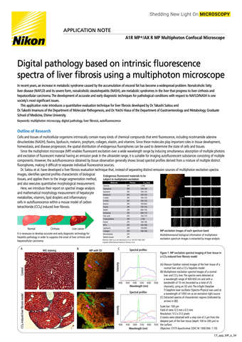 DigitalPathology IntrinsicFluorescenceSpectraLiverFibrosisUsingMP 2205E b043d2b295ef57929ca14a8b6cb20560
