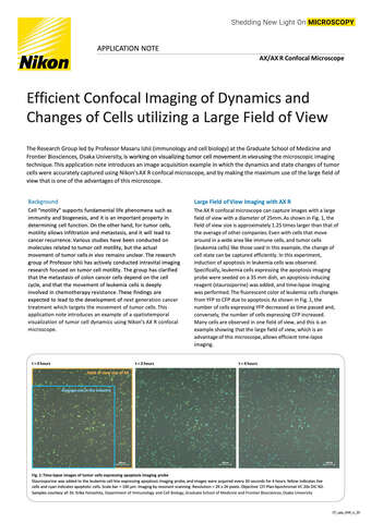 Efficient CF Imaging of Dynamics Changes of Cells EN COVER b043d2b295ef57929ca14a8b6cb20560