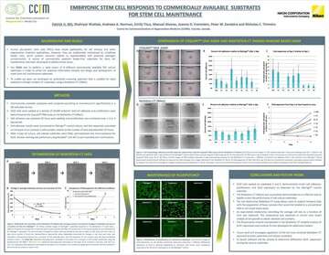 Embryonic Stem Cell Responses to Commercially Available Substrates for Stem Cell Maintenance b043d2b295ef57929ca14a8b6cb20560 1