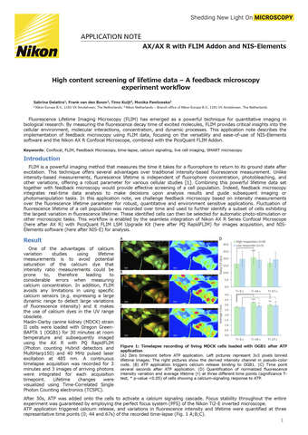 Sàng lọc dữ liệu vòng đời ở mức nội dung cao – Quy trình chụp ảnh phản hồi