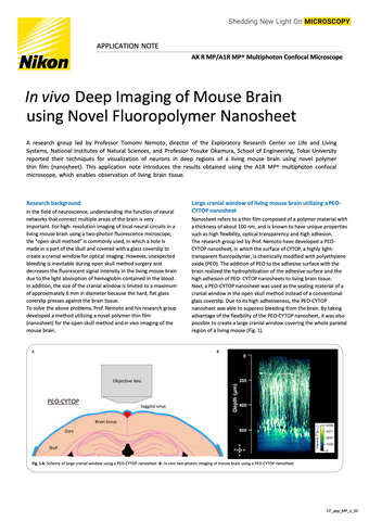 InVivoDeepImaging MouseBrain NovelFluoropolymer Nanosheet E b043d2b295ef57929ca14a8b6cb20560