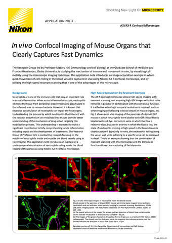 InVivo CF Imaging of Mouse Organs EN COVER b043d2b295ef57929ca14a8b6cb20560