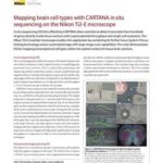 Mapping brain cell types with CARTANA in situ sequencing on the Nikon Ti2-E microscope