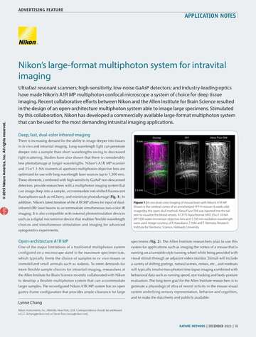 Nikon s large format multiphoton system for intravital imaging b043d2b295ef57929ca14a8b6cb20560