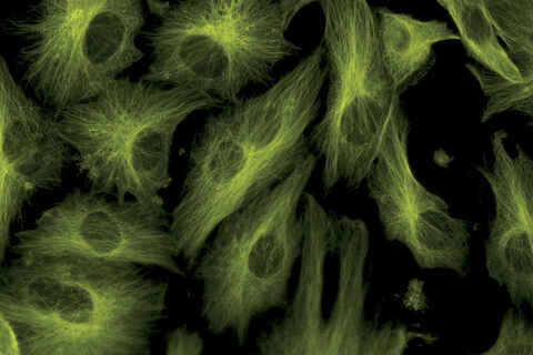 Khoa học đời sống