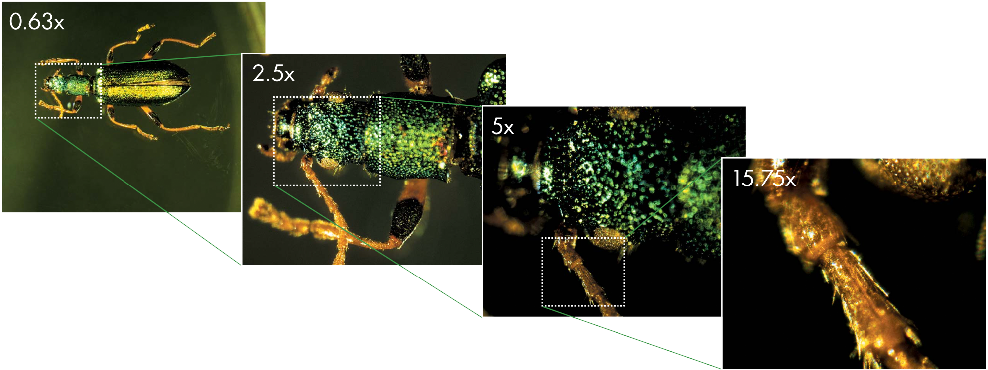 Kính Hiển Vi Soi Vi Khuẩn Tinh Trùng dành cho thú y, nghiên cứu