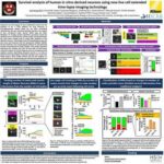Survival Analysis of Human In Vitro-derived Neurons Using New Live Cell Extended Time-lapse Imaging Technology