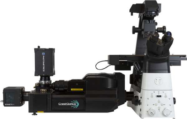 CrestOptics X-Light Series