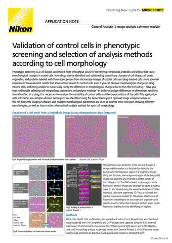Validation of control cells in phenotypic screening 2119E COVER b043d2b295ef57929ca14a8b6cb20560