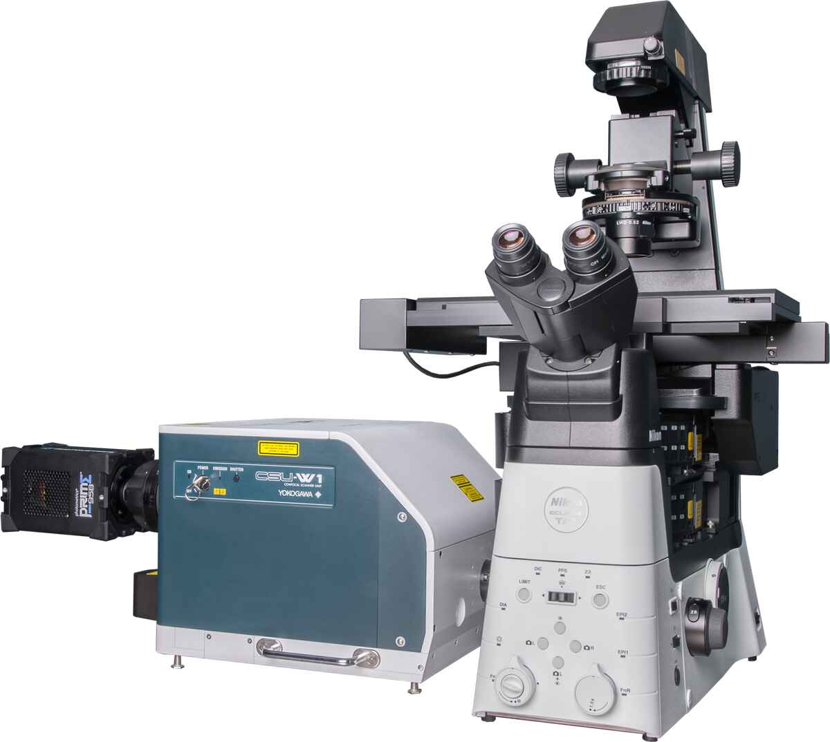 Nguyên bản Kính hiển vi Huỳnh quang Nikon