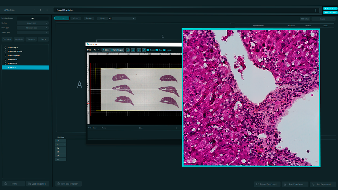 Chụp ảnh trường sáng màu cho nghiên cứu mô học-Holotomography