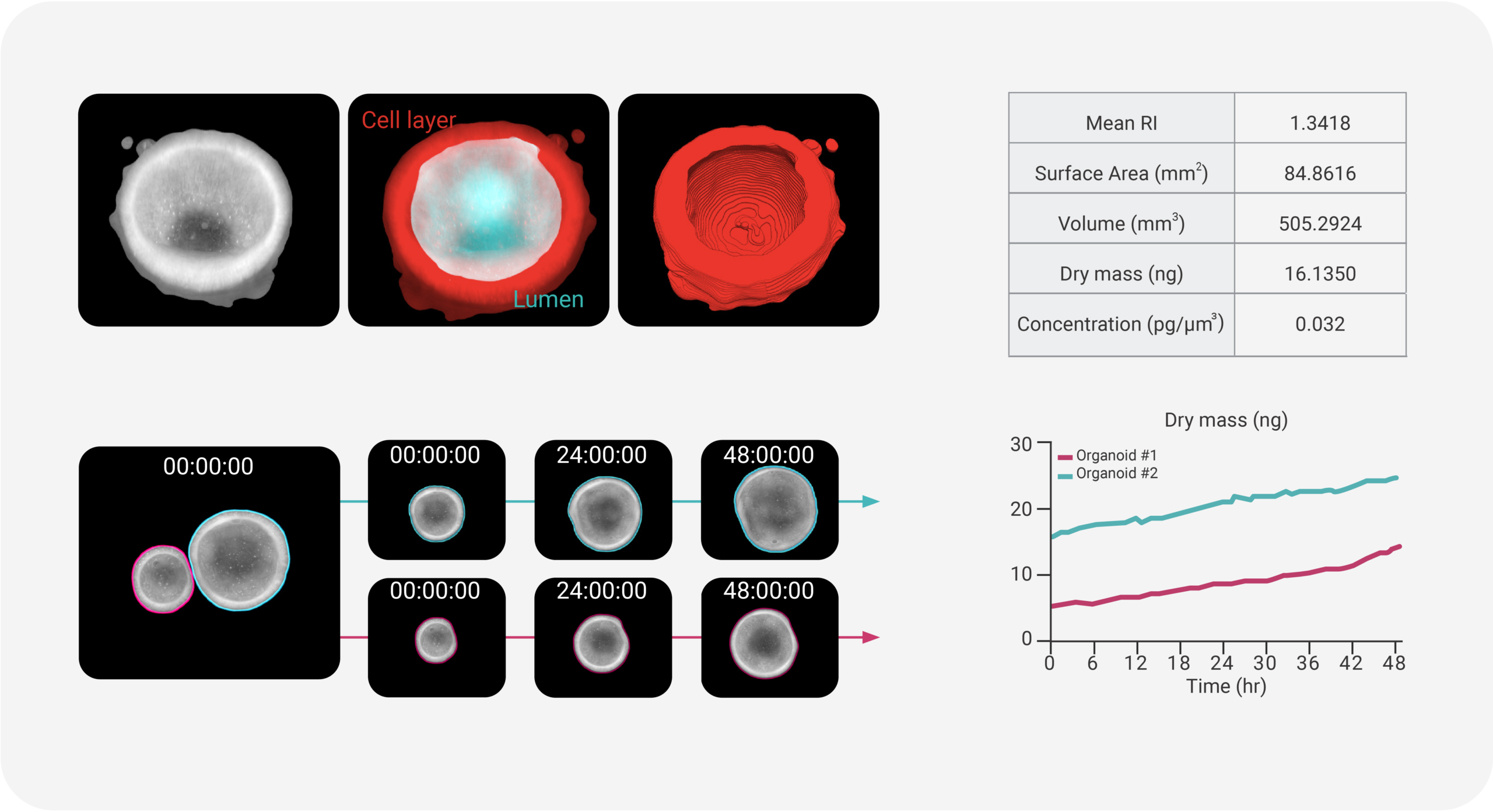 Đánh giá sự phát triển và hình thái của cơ quan nhân tạo