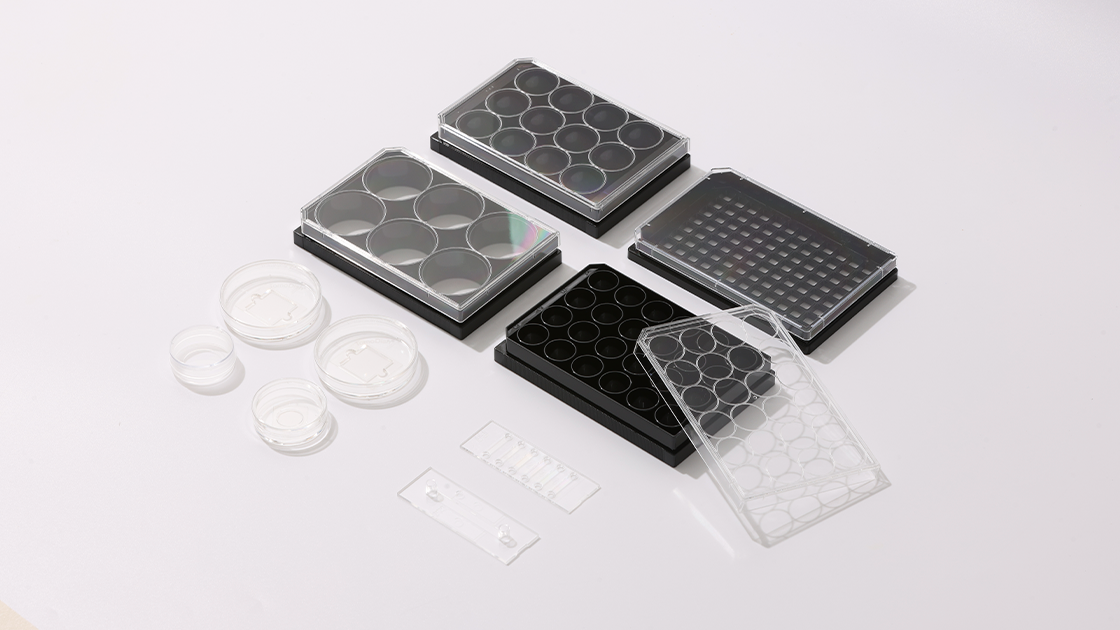 Đĩa và khay nhiều giếng holotomography