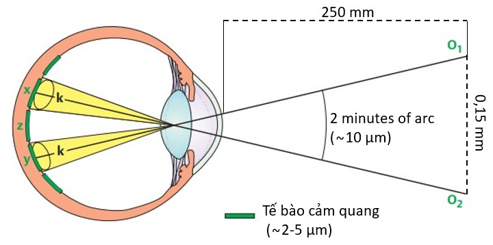 Giới hạn quan sát của mắt người