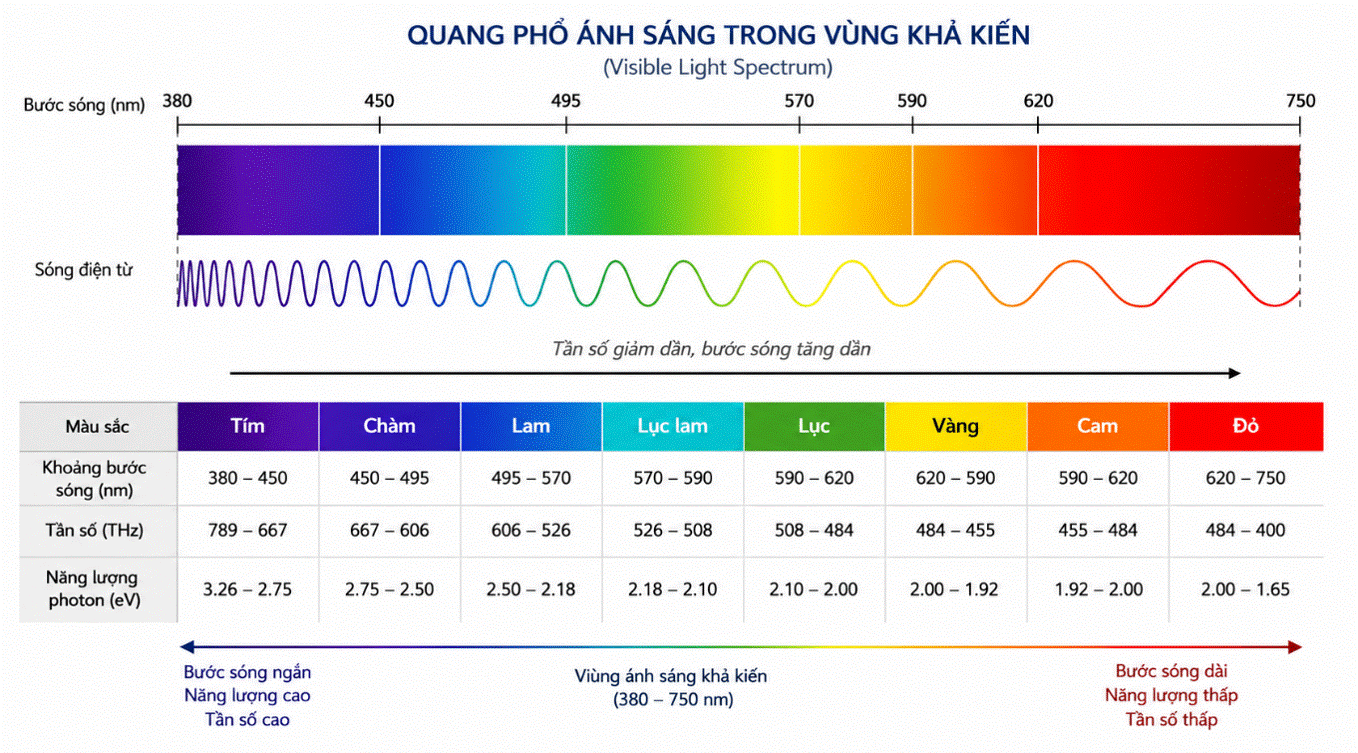 Hình 3. quang phổ ánh sáng trong vùng khả kiến